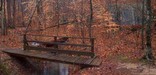 A footbridge in the forest.